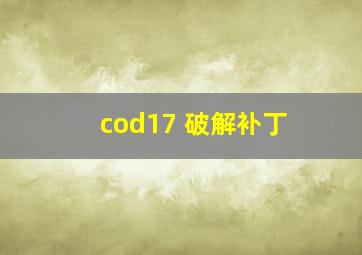 cod17 破解补丁